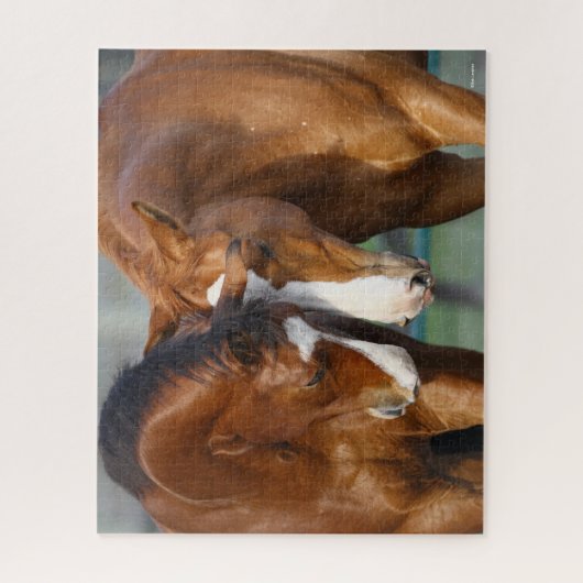 Puzzle Bob Langrish | Deux Chevaux Ensemble (Vertical)