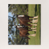 Puzzle Bob Langrish | Deux Jeunes Chevaux De Chaleur Se T (Vertical)