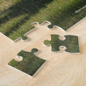 Puzzle Bob Langrish | Deux Jeunes Chevaux De Chaleur Se T (Côté)