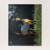 Puzzle Bob Langrish | Deux Mustangs Kiger debout (Vertical)