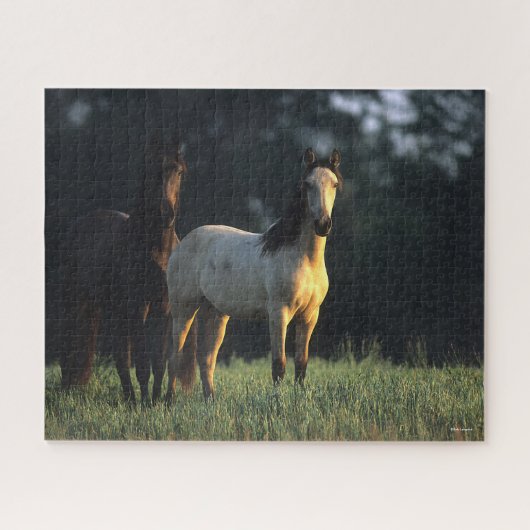 Puzzle Bob Langrish | Deux Mustangs Kiger debout (Horizontal)