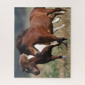 Puzzle Bob Langrish Deux Poney De Shetland Courent Ensemb (Vertical)