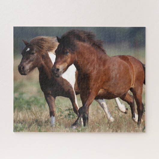 Puzzle Bob Langrish Deux Poney De Shetland Courent Ensemb (Horizontal)