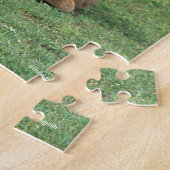 Puzzle Bob Langrish | Deux poulains de Morgan Horse jouen (Côté)