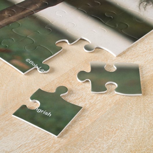 Puzzle Bob Langrish | Deux poulains des Rocheuses debout (Côté)