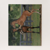 Puzzle Bob Langrish | Deux poulains Morgan jouent (Vertical)