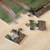 Puzzle Bob Langrish | Deux poulains Morgan jouent (Côté)