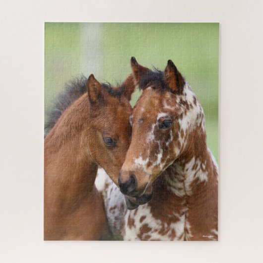 Puzzle Bob Langrish | Deux Rencontres d'Appaloosa Foies (Vertical)