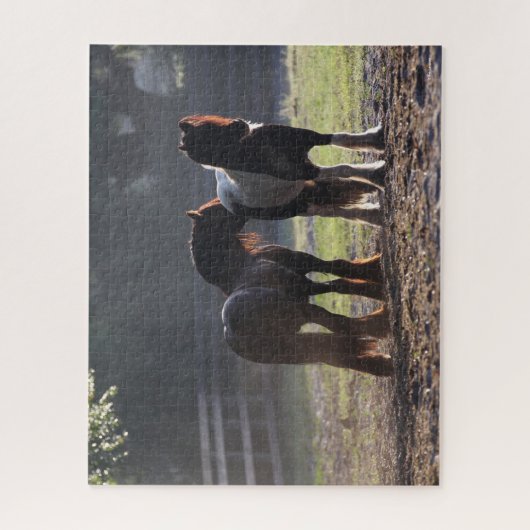 Puzzle Bob Langrish | Deux Vannières Tsiganes En Champ Ré (Vertical)