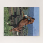 Puzzle Bob Langrish | Élevage d'étalons arabes en châtaig (Horizontal)