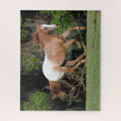 Puzzle Bob Langrish | Exécution d'Appaloosa (Vertical)