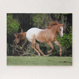 Puzzle Bob Langrish Exécution d'Appaloosa