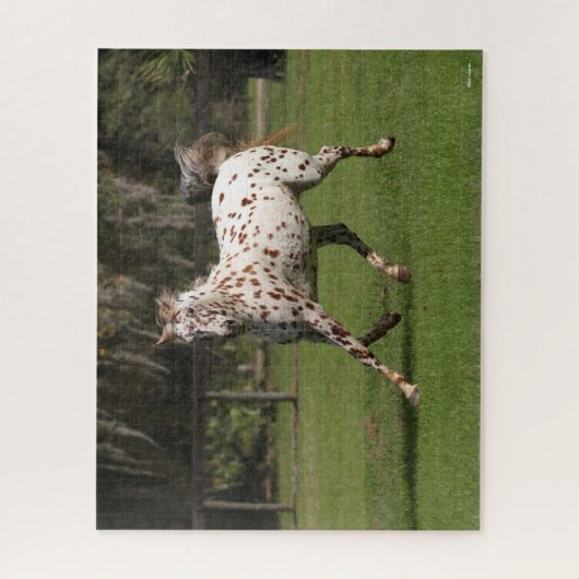 Puzzle Bob Langrish | Exécution d'Appaloosa (Vertical)