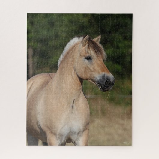 Puzzle Bob Langrish | Fjord Horse debout Capot (Vertical)
