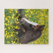 Puzzle Bob Langrish | Foal De Pony Gallois Reposant Dans  (Horizontal)