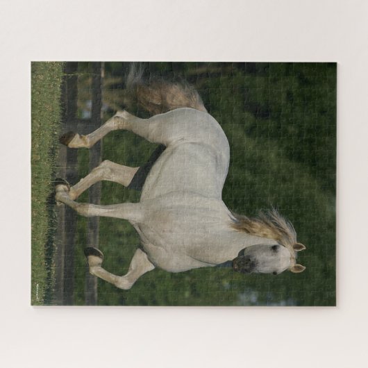 Puzzle Bob Langrish | Gray Andalucian Running (Horizontal)