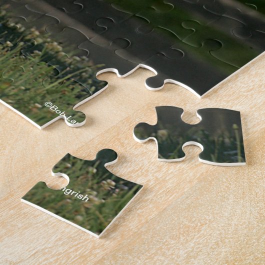 Puzzle Bob Langrish | Gray Andalucian Running (Côté)