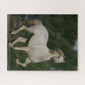 Puzzle Bob Langrish | Gray Andalucian Running (Horizontal)