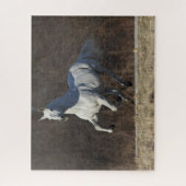 Puzzle Bob Langrish | Gray Andalucian Running (Vertical)