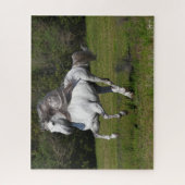 Puzzle Bob Langrish | Gray Andalucian Stallion Courir (Vertical)
