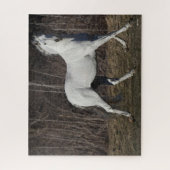 Puzzle Bob Langrish | Gray Andalucian Stallion Walking (Vertical)