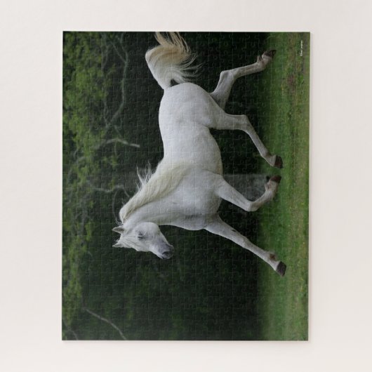 Puzzle Bob Langrish | Gray Arab Running (Vertical)