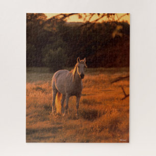 Puzzle Bob Langrish   Gray Arab Standing au coucher du so