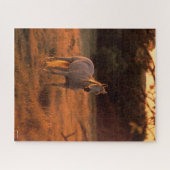 Puzzle Bob Langrish | Gray Arab Standing au coucher du so (Horizontal)