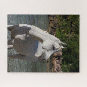 Puzzle Bob Langrish | Gray Arab Standng dans la mer (Horizontal)
