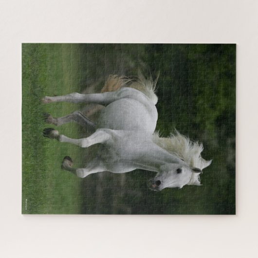 Puzzle Bob Langrish | Gray Arabe Courir Le Flot De Mane (Horizontal)