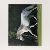 Puzzle Bob Langrish | Gray Lusitano Stallion (Vertical)