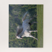 Puzzle Bob Langrish | Gray Lusitano Stallion en marche (Vertical)