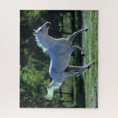Puzzle Bob Langrish | Gray Thoroughbred Stallion Running (Vertical)