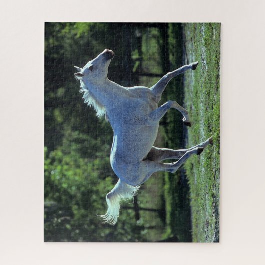 Puzzle Bob Langrish | Gray Thoroughbred Stallion Running (Vertical)