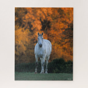 Puzzle Bob Langrish   Gray Warmblood Standing Automne