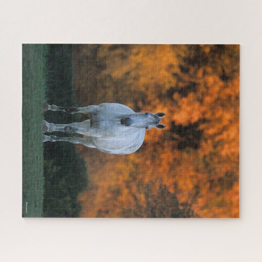 Puzzle Bob Langrish | Gray Warmblood Standing Automne (Horizontal)