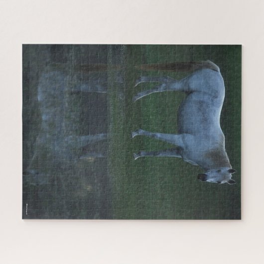 Puzzle Bob Langrish Grey Arab Standing By Pond Reflet (Horizontal)