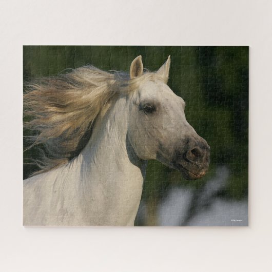 Puzzle Bob Langrish Grey Casque andalou Mane Flow (Horizontal)
