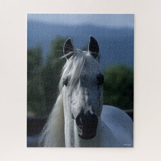 Puzzle Bob Langrish Grey Stallion arabe debout (Vertical)