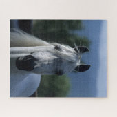 Puzzle Bob Langrish Grey Stallion arabe debout (Horizontal)
