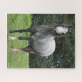 Puzzle Bob Langrish | Grey Welsh Pony Standing (Horizontal)