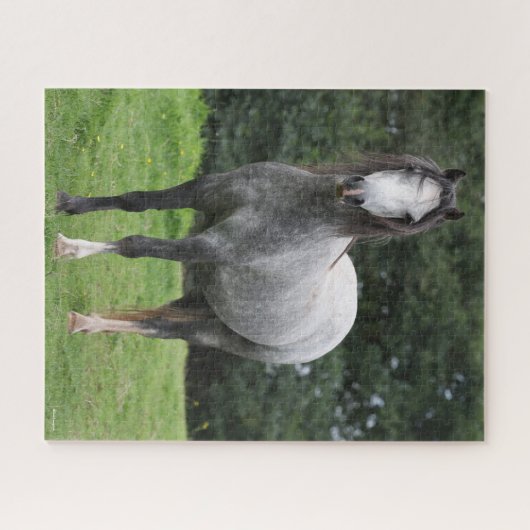 Puzzle Bob Langrish | Grey Welsh Pony Standing (Horizontal)