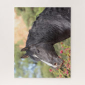 Puzzle Bob Langrish | Gros plan noir de Stallion andalou (Vertical)