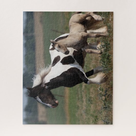 Puzzle Bob Langrish | Gypsy Vanner Mare et Foal Running (Vertical)