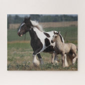 Puzzle Bob Langrish | Gypsy Vanner Mare et Foal Running (Horizontal)
