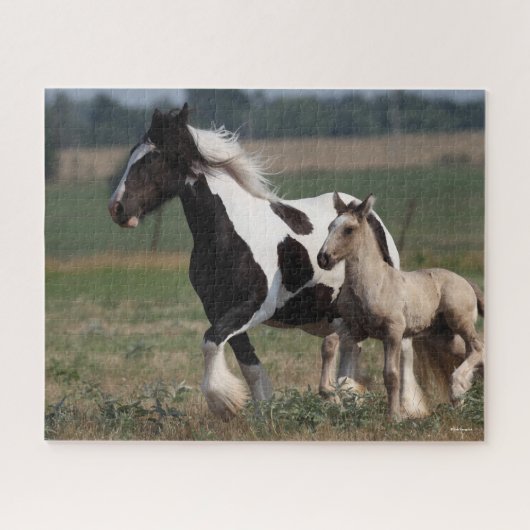 Puzzle Bob Langrish | Gypsy Vanner Mare et Foal Running (Horizontal)
