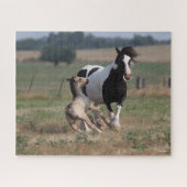 Puzzle Bob Langrish | Gypsy Vanner Mare et Foie (Horizontal)