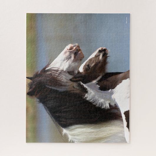 Puzzle Bob Langrish | Gypsy Vanner Mare et Foie Capture d (Vertical)