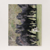 Puzzle Bob Langrish | Herd Black Meren Cheval et Chien (Vertical)