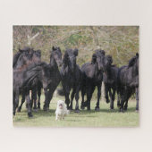 Puzzle Bob Langrish | Herd Black Meren Cheval et Chien (Horizontal)